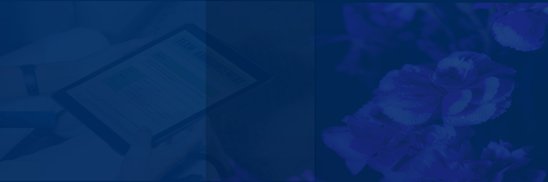 Special  Electronics Offer